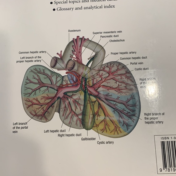 Anatomy Book - Picture 13 of 13